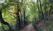 chemin-rando-001.jpg